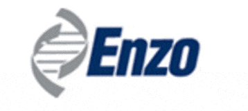 Enzo Logo 2014