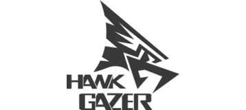 Hawk Gazer 2020 Logo