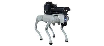 Throwflame Thermonator Flamethrower, 30 x 20 x 20 in, TF-X0030719