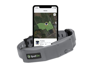 SpotOn Fence GPS Dog Fence Collar, Grey/Black, Small, SOMN638113