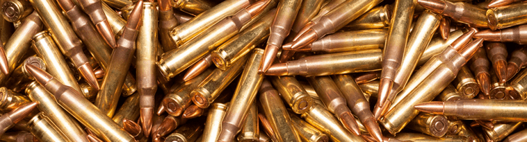 opplanet-dvor-13492-ammo-house-223-ammo-large