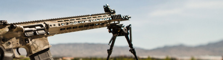opplanet-dvor-18180-primary-weapon-systems-large