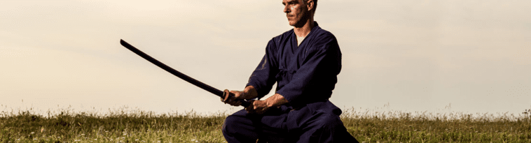 opplanet-dvor-18642-ten-ryu-swords-large