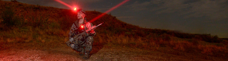 opplanet-dvor-22039-wicked-hunting-lights-large