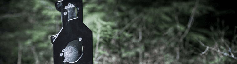 opplanet-dvor-22975-targets-from-action-target-large