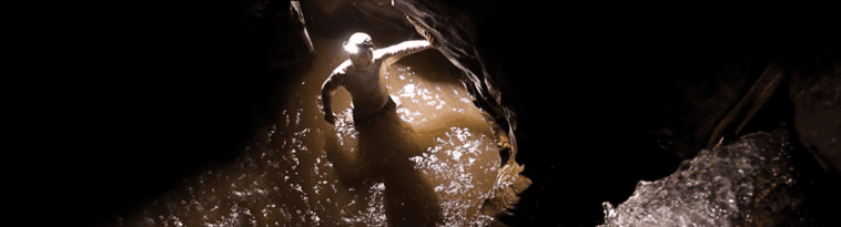 opplanet-dvor-2449-princeton-tec-large