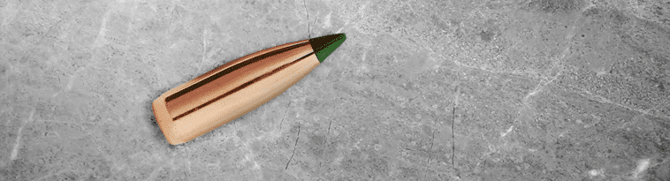 opplanet-dvor-27875-sierra-bullets-large