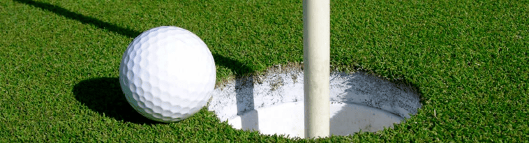 opplanet-dvor-2833-golfers-paradise-large