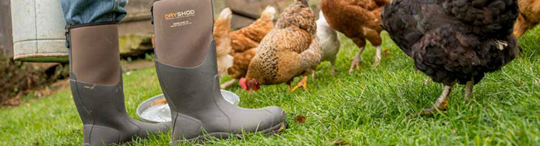 opplanet-dvor-28995-dryshod-footwear-large