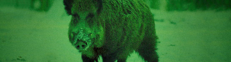 opplanet-dvor-3110-night-vision-large