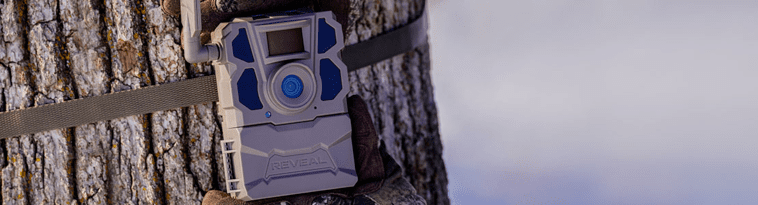 opplanet-dvor-33831-reveal-x-trail-cameras-large