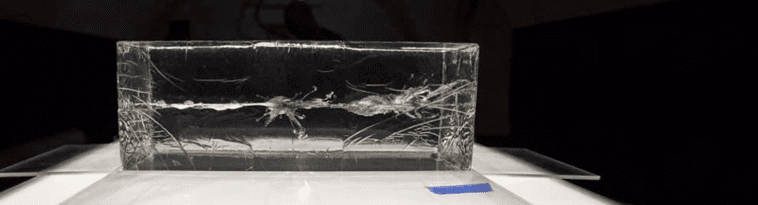 opplanet-dvor-35926-clear-ballistics-gel-targets-large