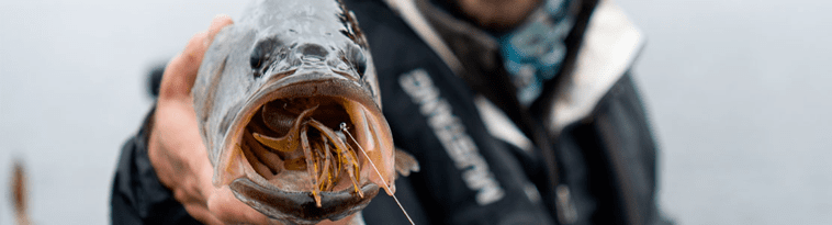 opplanet-dvor-36345-yamamoto-fishing-lures-large