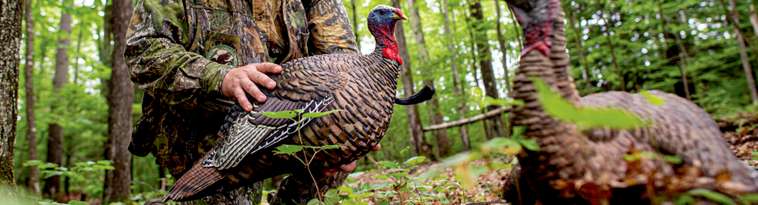 opplanet-dvor-36431-avian-x-decoys-large