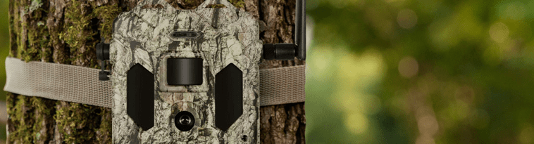 opplanet-dvor-42216-bushnell-cellucore-24-trail-cameras-large