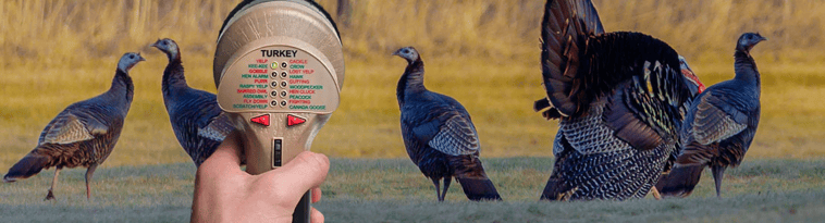 opplanet-dvor-43987-cass-creek-mega-amp-turkey-call-large