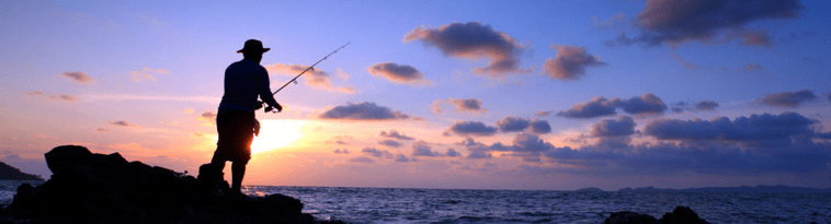 opplanet-dvor-7419-so-many-reels-large