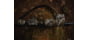 ATN X-Sight-4K 5-20x Pro Edition Smart Day/Night Hunting Rifle Scope, Mossy Oak Bottomland, DGWSXS5204KPBL