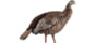 Avian X HDR Hen Decoy, Synthetic, AVXAVX8106