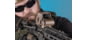 EOTech OPMOD EXPS 3 Holographic Red Dot Sight, 4 MOA Dot Reticle, Tan, EXPS3-4 TAN OP