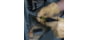Klein Tools Screwdriver w/32-Piece Tamperproof Bit Set Magnetic, 32510