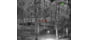 Shinenyx G1A/384 1x5.45-16.5mm Thermal Imaging Monocular with Mount, Black, G1A+Mount
