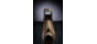 Steiner Micro Pistol Red Dot Sight, Flat Dark Earth, 8700-MPSFDE